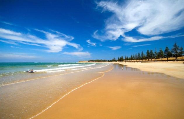 Golden Palms Motel Geelong Ngoại thất bức ảnh